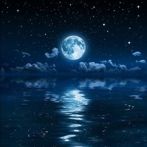 Meet your Posher, Yadira